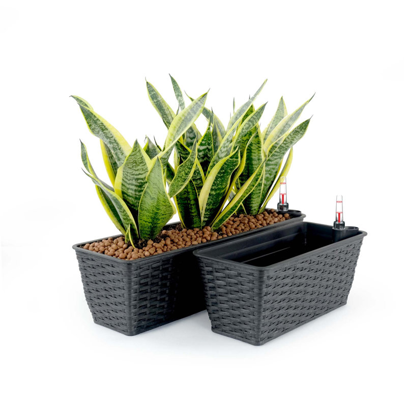 Smart Self-Watering Wicker Planters for All Plants, Enhancing Indoor and Outdoor Spaces, Espresso