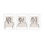 Figure and Form. Set of 3 by Romina Gadler - Framed Wall Art-395959846-395960275
