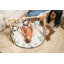 Gymini de développement Tiny Love Luxe