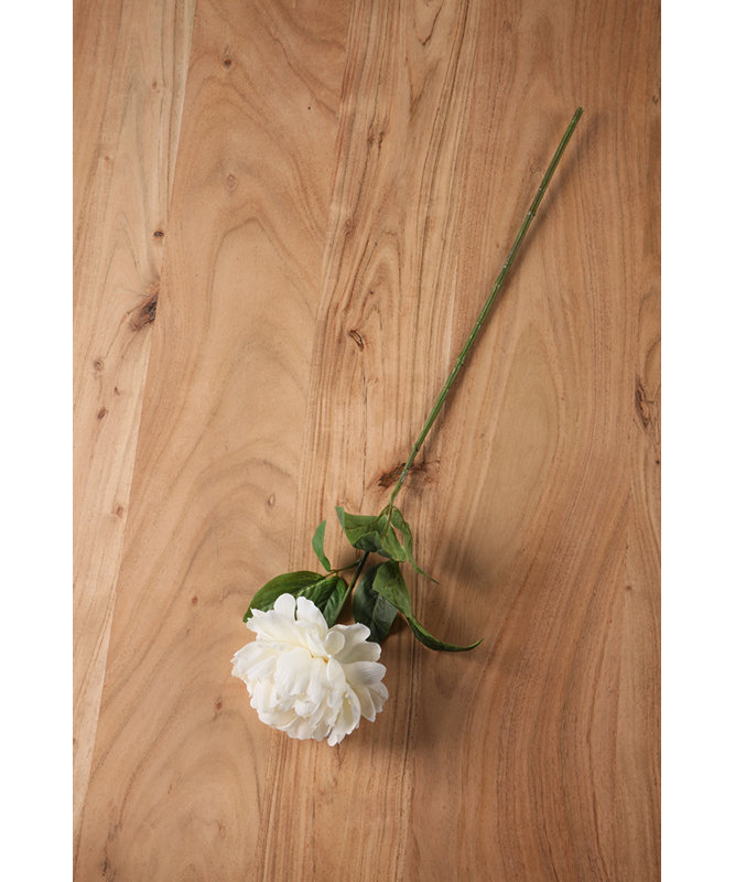 Faux Off White Peony Stems