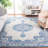 Brentwood Performance Oriental Rug-262456665