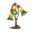 Enache LED Desk Table Lamp