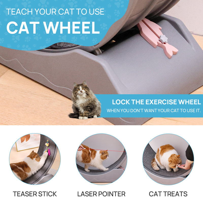 Emmani 33.5'' Noiseless and Lockable Cat Treadmill Exercise Running Wheel, Grey