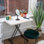 20'' Rectangular Adjustable Folding Table