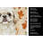 Cream Pekingese Heirloom Fall Kitchen Towel-1218231478
