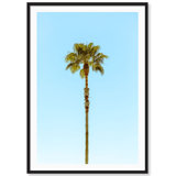 Lonely Palm Print by Carly Tabak