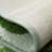 Frond Microfiber Green Botanical Design Rug,Washable Anti-Slip Mat for Indoor/Outdoor & Pet-Friendly Use-1388643740