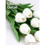 Tulipes artificielles - 12 tiges de fleurs de faux tulipes blanches avec feuilles vertes, 5,5 x 2,8 x 2,0 po
