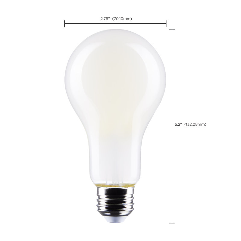 A21 18,5 watts 18,5 watts à culot moyen à culot moyen 5000K 120 volts, 5 000 K