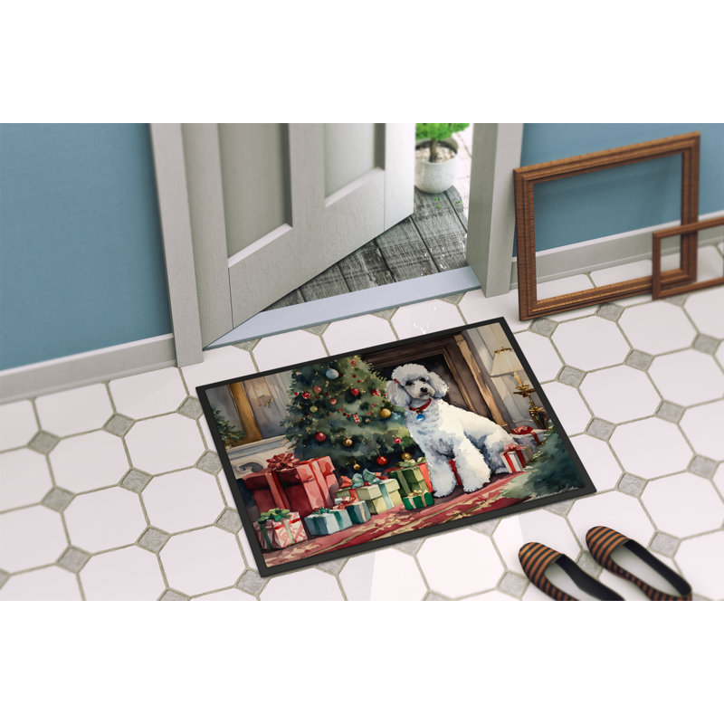 Tapis d'entrée antidérapant Jeniveve, L 24 po x L 36 po