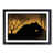 Black Framed selected