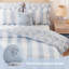Striped and Toile Comforter Set