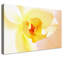 Print on Canvas-1496947461