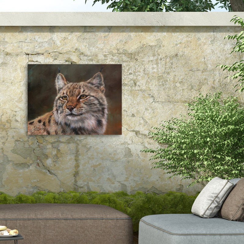 Toile d'extérieur David Lynx Eurasian, H 14 po x l 19 po