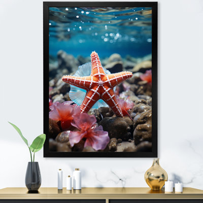Étoile de mer corail - impression
