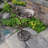 Bird Bath, Antique Bronze