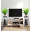 Abhiram Plant Stand