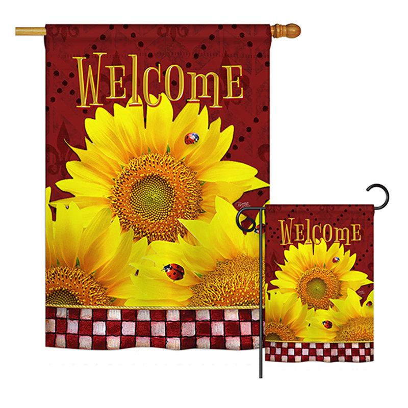 Ensemble de drapeaux en polyester 40 x 28 po Mckayla
