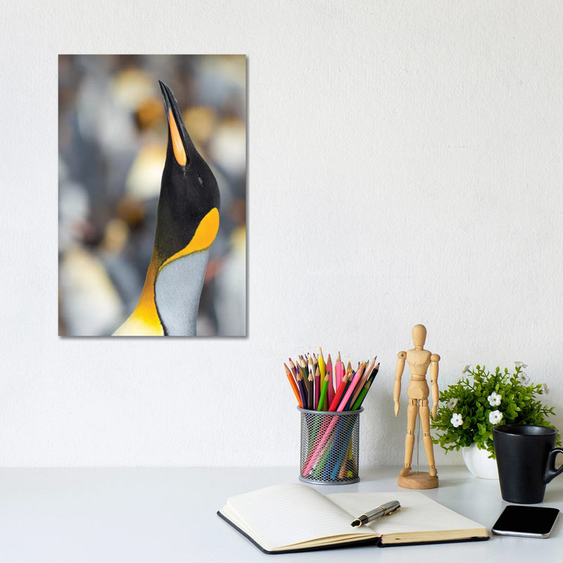 King Penguin, Falkland Islands. by Martin Zwick - Wrapped Canvas Print, 20.32 cm H x 30.48 cm W