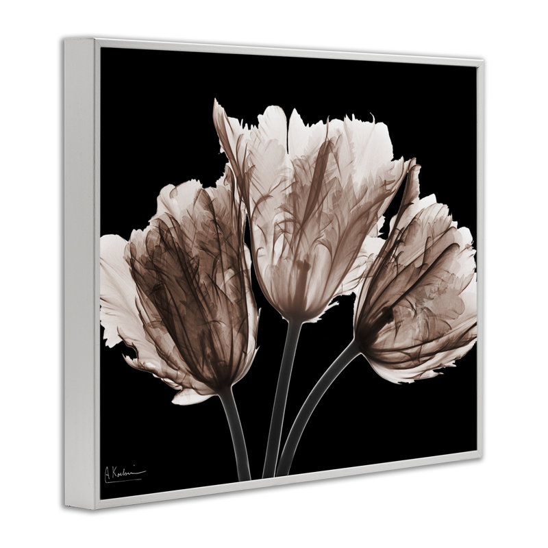 Giclée sur tulipes nettes sur fond noir, design par Albert Koetsier, H 24 po x l 30 po