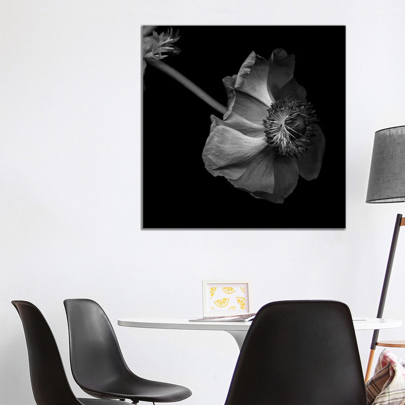 Anemone, B&W by Magda Indigo - Wrapped Canvas Gallery-Wrapped Canvas Giclée, 93.98 cm H x 93.98 cm W x 1.91 cm D