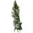 Christmas No Animal(s) Tabletop Tree