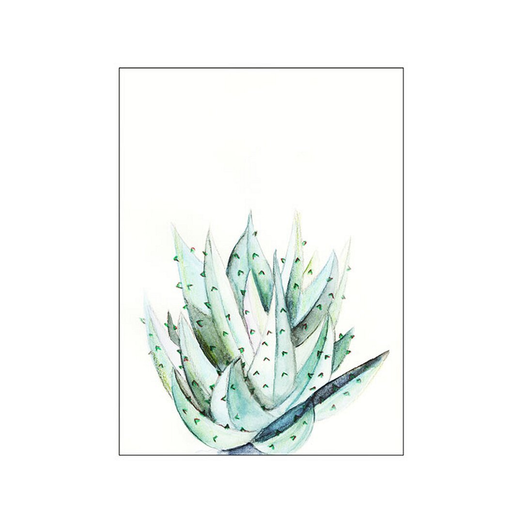 Papierbild Aloe Aquarellfarbe in Grün/Weiß