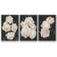 «Nighttime Flora I», ensemble de 3 toiles encadrées-97710541-97710547