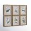 "Green Floral Botanical Study" - 6 Piece Art Set