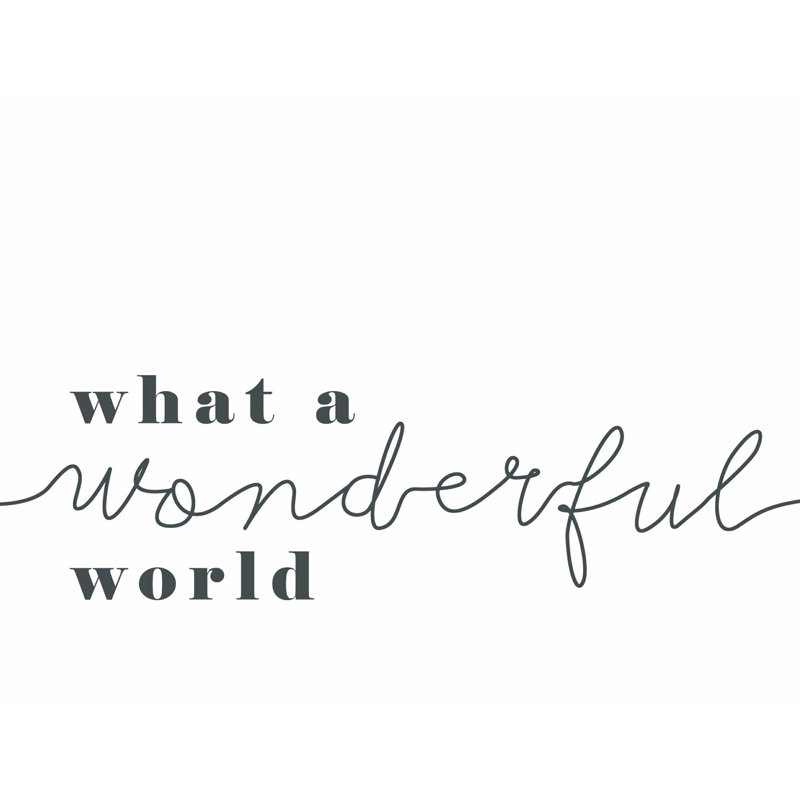 What a Wonderful World - Impression sur toile tendue, L 16 po x H 12 po