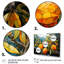«Golden Mango Mosaic I» - fruits, art mural-1256552208