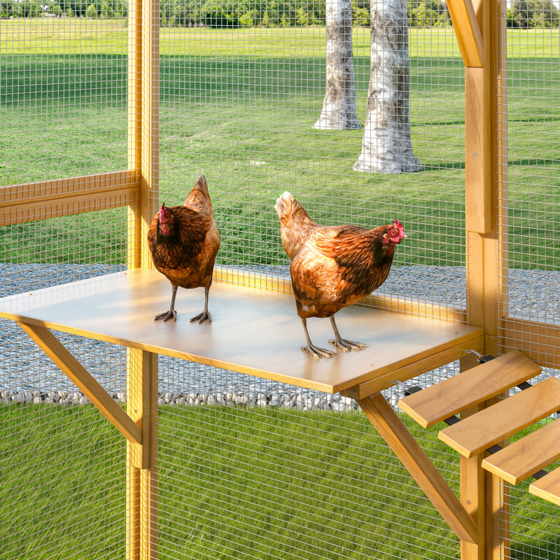 Poulet Eather, H 74 po x l 109,6 po x P 75,2 po, Jaune