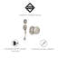 Ensemble de poignées avec pêne dormant cylindrique simple, bouton de porte et rosette-10311131