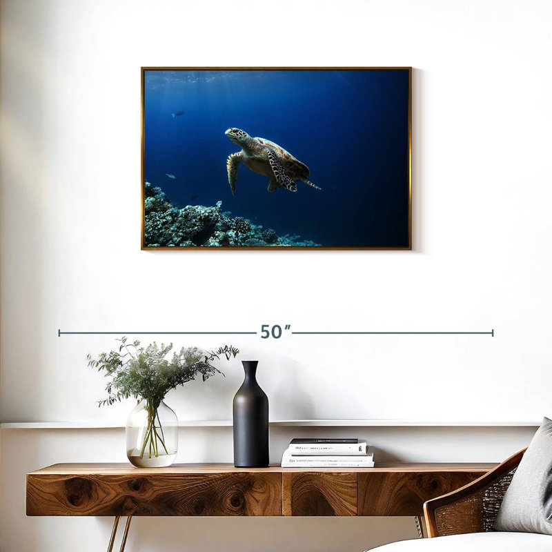 Tortue aventure, 31 po x 21 po, Cadre flottant doré