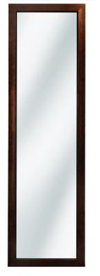 Raven Metal Wall Mirror