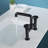 2-handle Bathroom Faucet