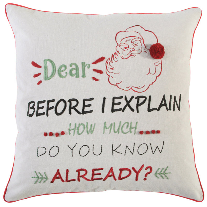 Embroidered Cotton Throw Pillow
