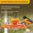 Birds Choice 12 oz. Oriole-Fest Feeder with Weatherguard, Orange