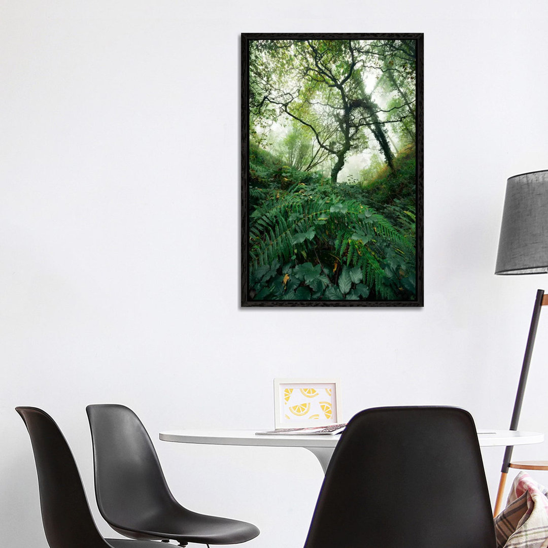 Inside The Woods von Stefan Hefele - Galerie-verpackte Leinwand Giclée auf Leinwand