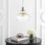 Luminaire suspendu 1 lampe à simple cuve Pinner