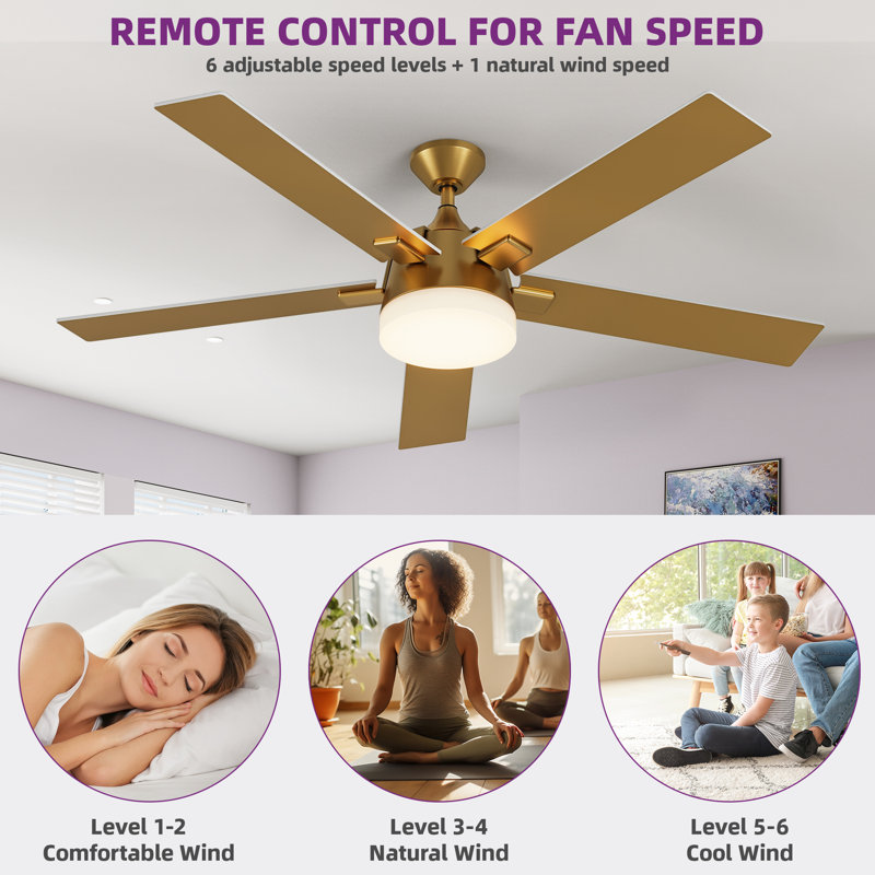 Ventilateur de plafond 52 po Ebern Designs