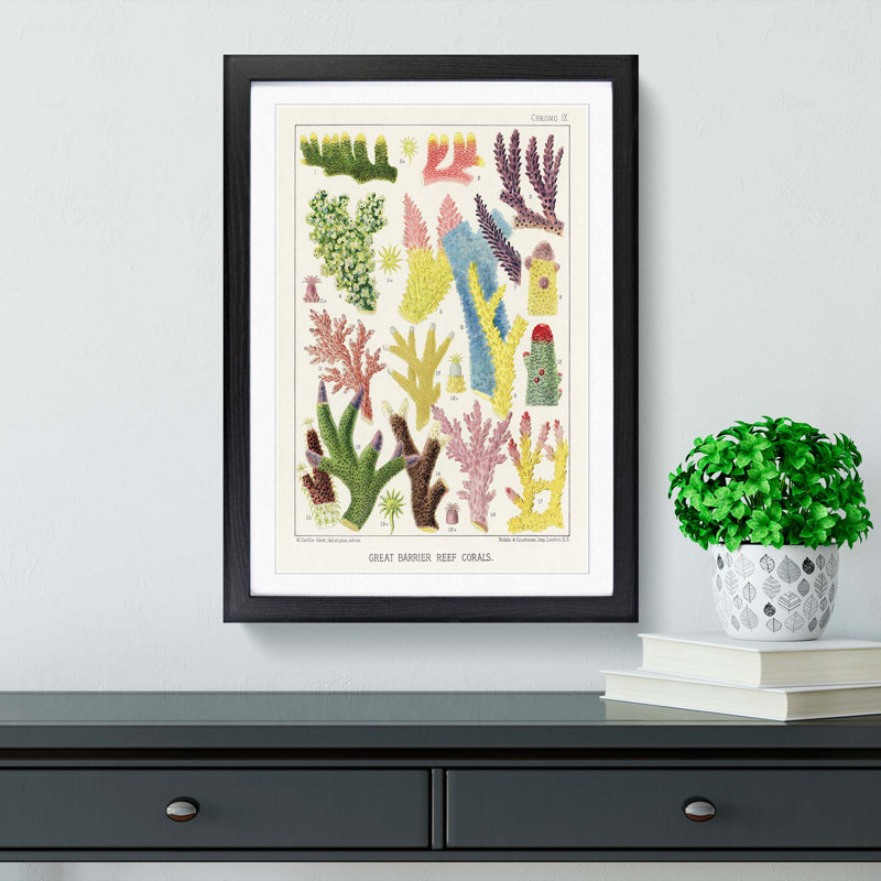 Great Barrier Reef Corals IX by W. Saville-Kent - Picture Frame Painting Print, 65cm H x 48cm W x 2cm D, Black Framed
