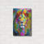 Ivy Bronx «The Transported Lion» par Dean Russo, art mural en métal-1764497061