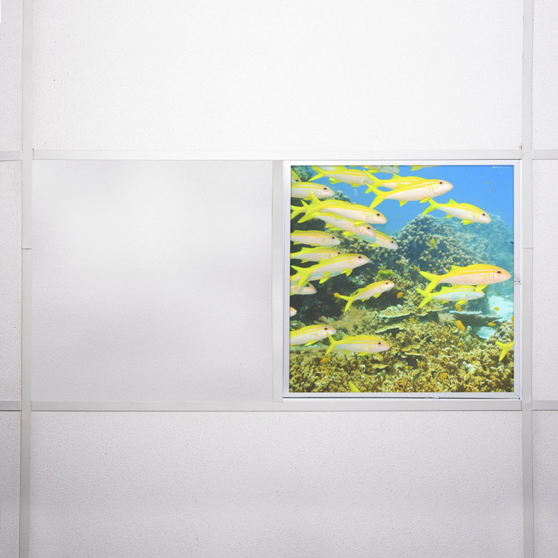 Ocean Square Fixture Component Ceiling Light