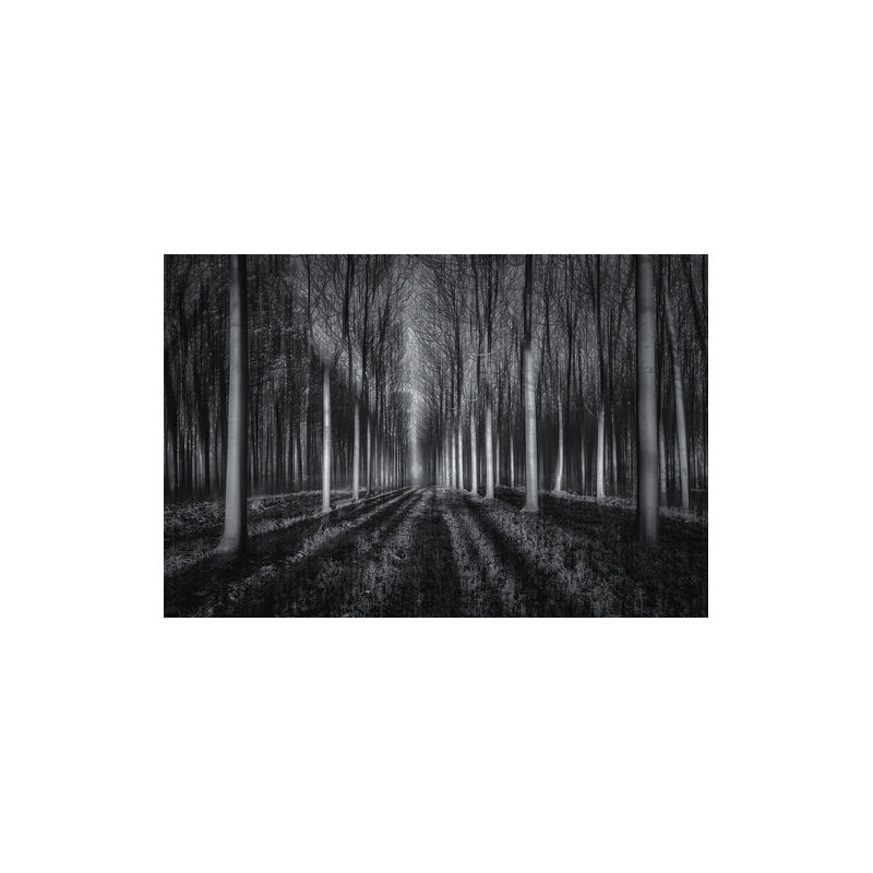 Wrapped Canvas Print, 50.8 cm H x 76.2 cm W
