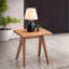 Table de bout décorative décontractée 1pc Mid-Century Modern Home Furniture