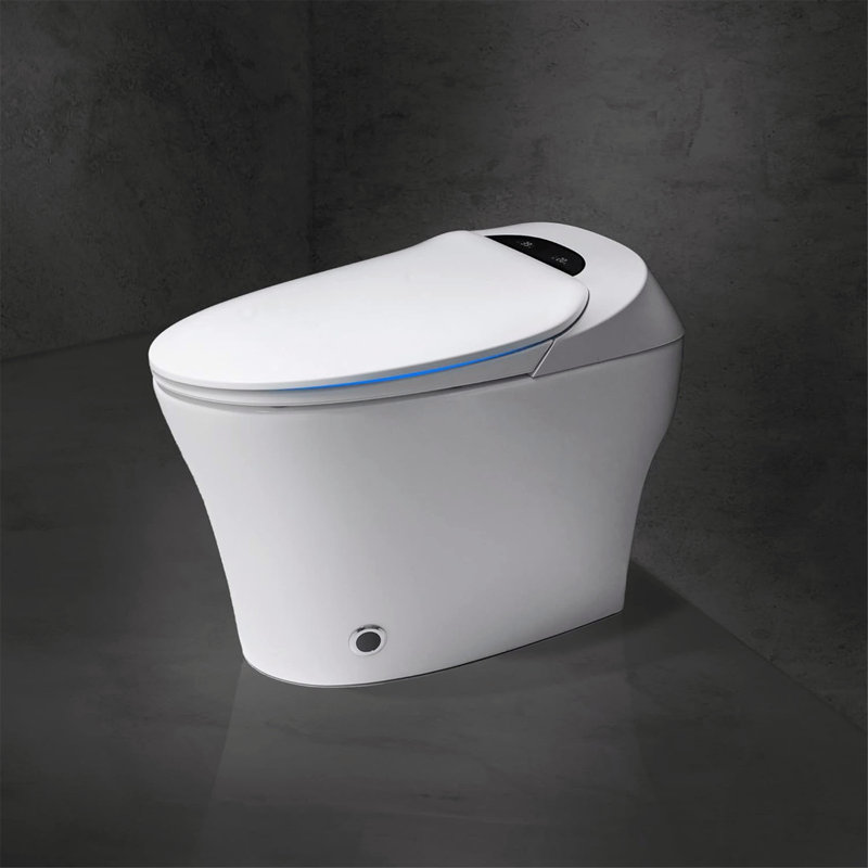 Creationstry GPF Elongated Wall Mounted Back To Wall Toilets (Seat Included)