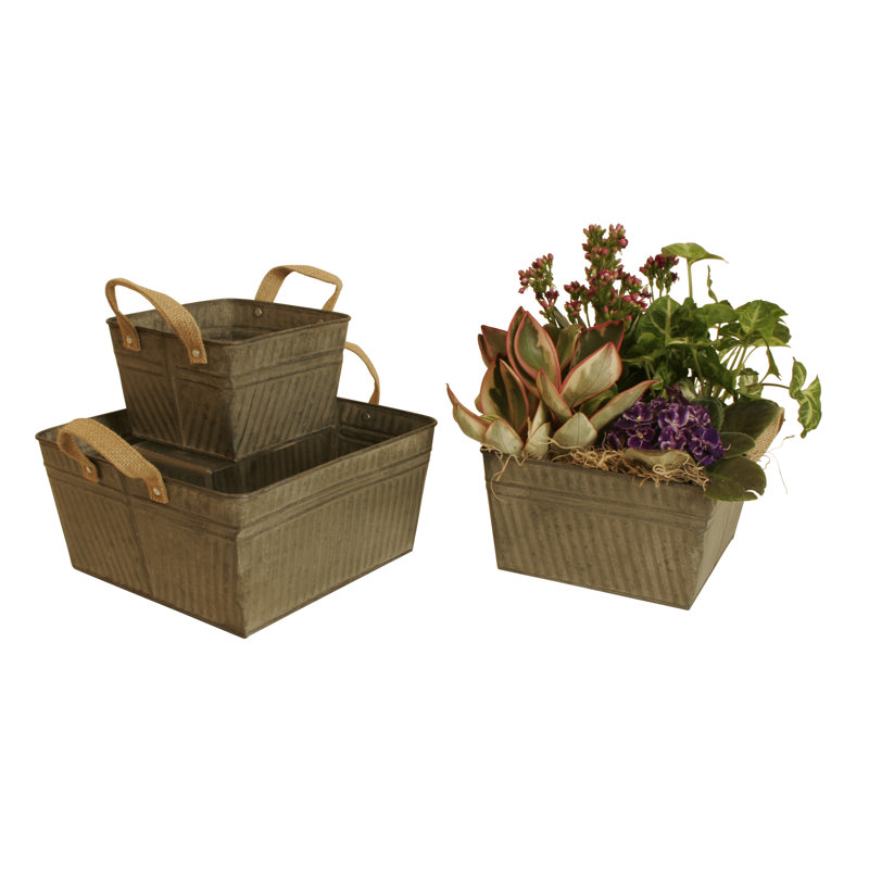 August Grove® Decorative Bin