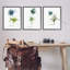 «Thistle Watercolors On White Single Frame» par Alexandria Gilbert Kincaid, 3 pièces sur toile-1779392196-1778591697