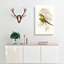 Parakeets by Elizabeth Gould - Wrapped Canvas-55323075